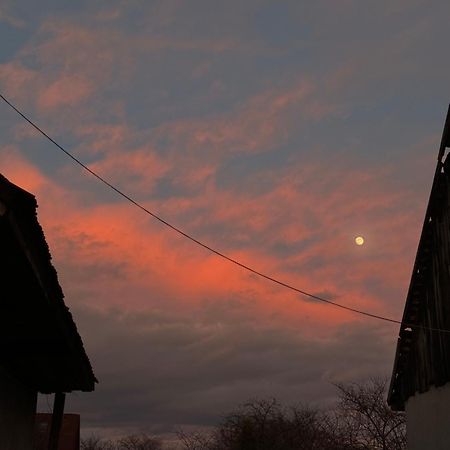 Hotel Casa Leny Tohanu Nou Zewnętrze zdjęcie