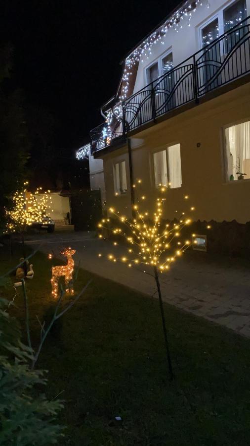 Hotel Casa Leny Tohanu Nou Zewnętrze zdjęcie