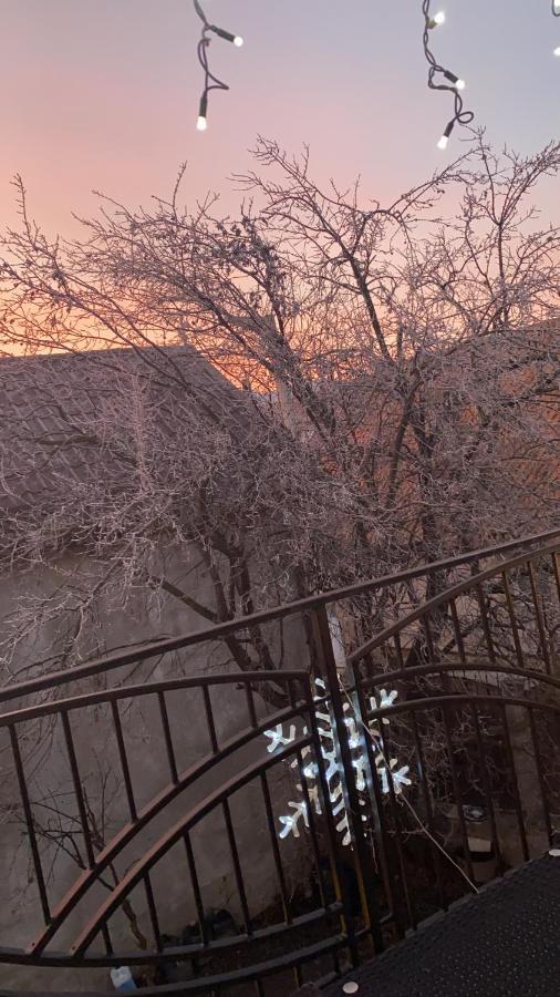 Hotel Casa Leny Tohanu Nou Zewnętrze zdjęcie