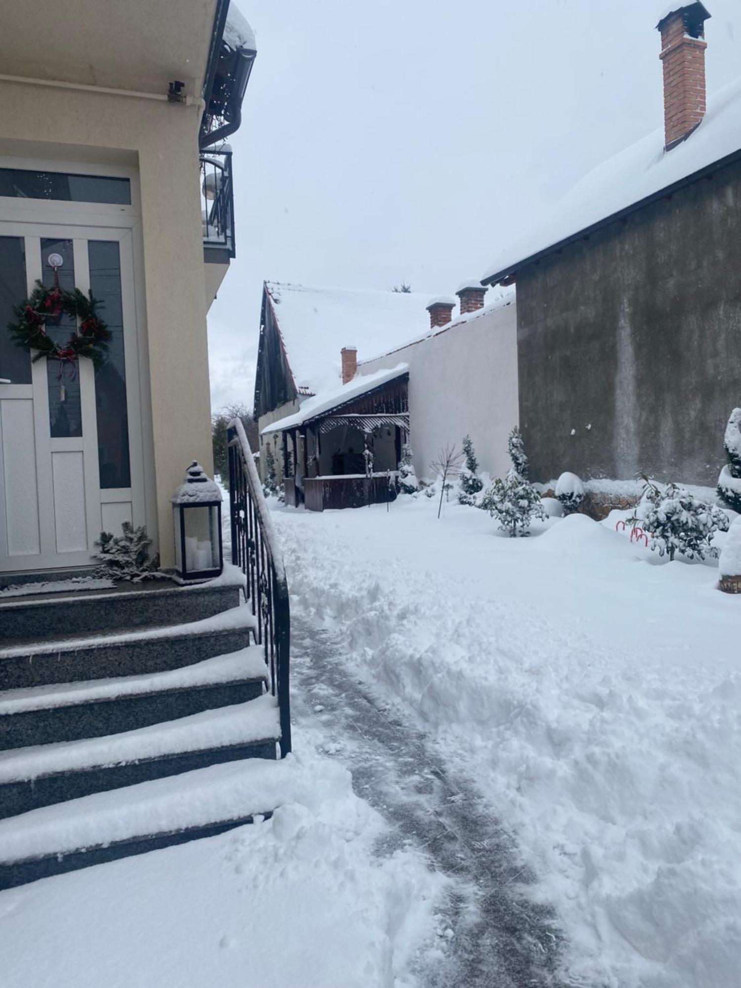 Hotel Casa Leny Tohanu Nou Zewnętrze zdjęcie