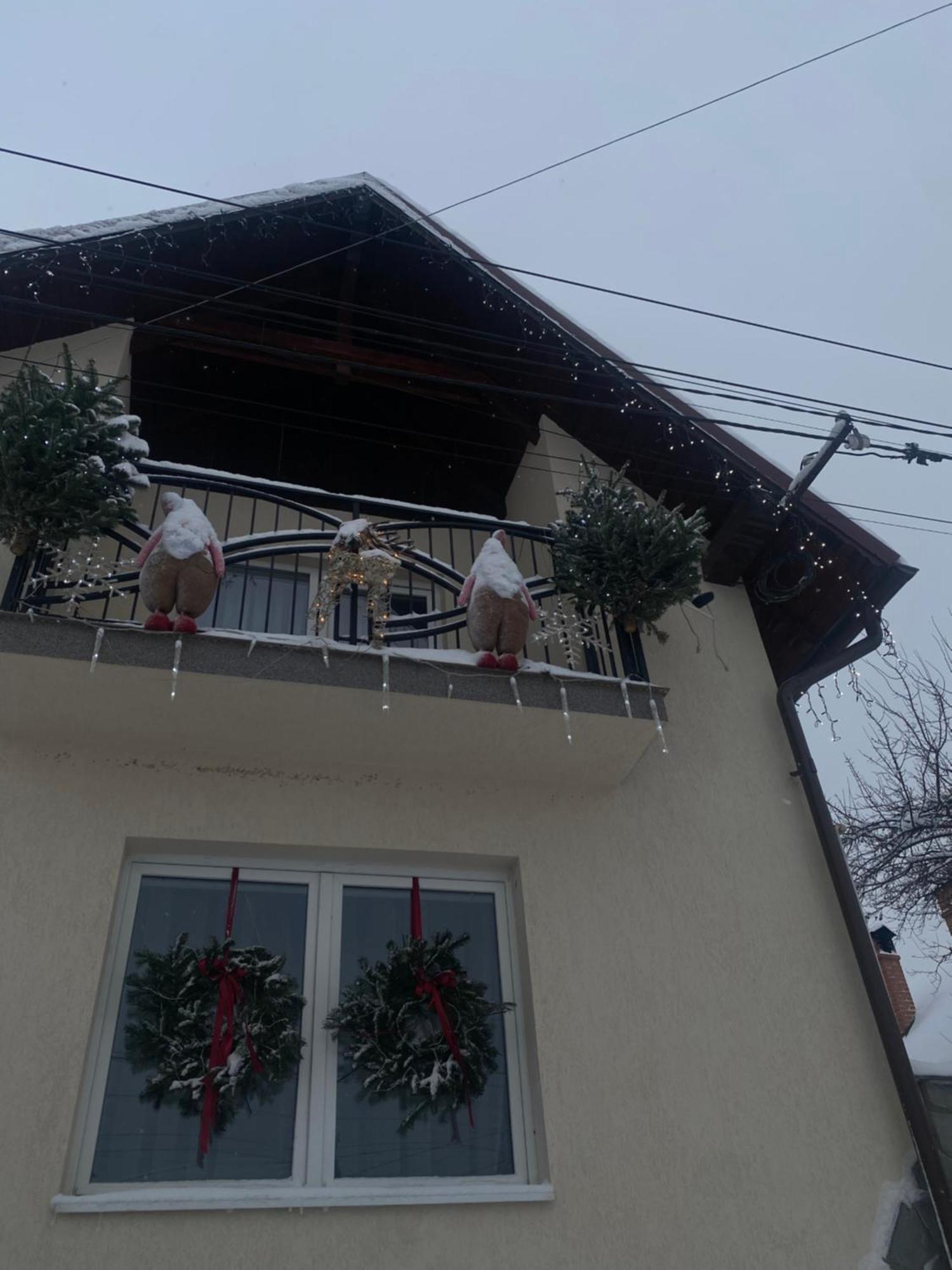 Hotel Casa Leny Tohanu Nou Zewnętrze zdjęcie